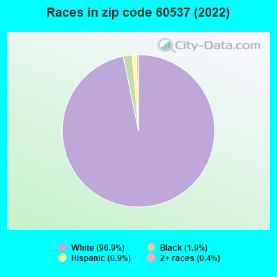 Races in zip code 60537 (2022)