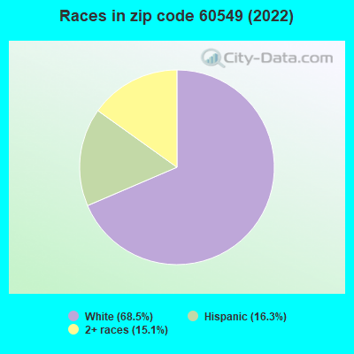Races in zip code 60549 (2022)