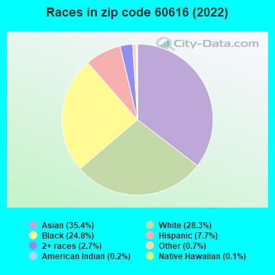 Races in zip code 60616 (2022)