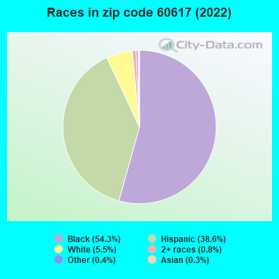 Races in zip code 60617 (2022)
