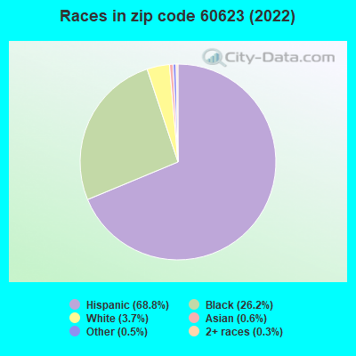 Races in zip code 60623 (2022)