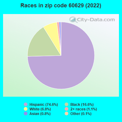 Races in zip code 60629 (2022)