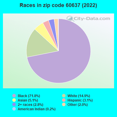 Races in zip code 60637 (2022)