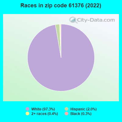 Races in zip code 61376 (2022)