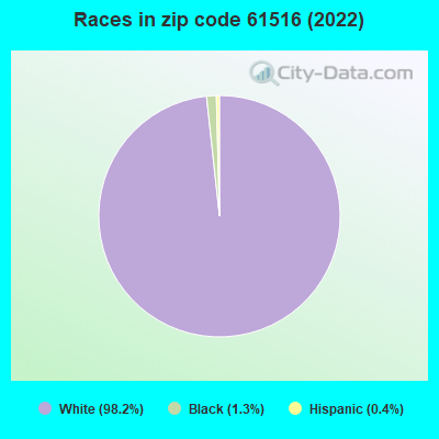 Races in zip code 61516 (2022)