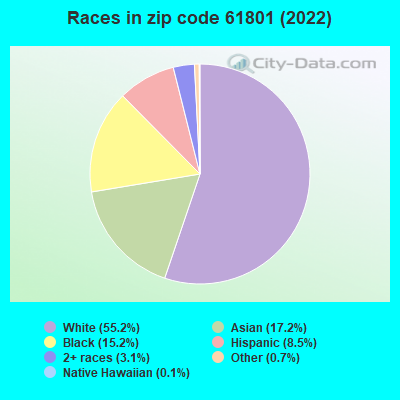 Races in zip code 61801 (2022)