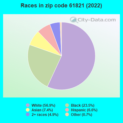 Races in zip code 61821 (2022)