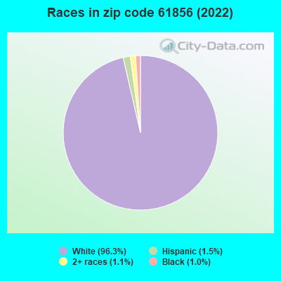 Races in zip code 61856 (2022)