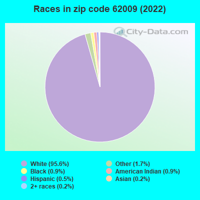 Races in zip code 62009 (2022)