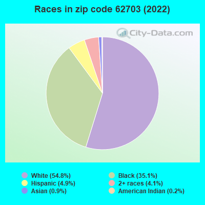 Races in zip code 62703 (2022)