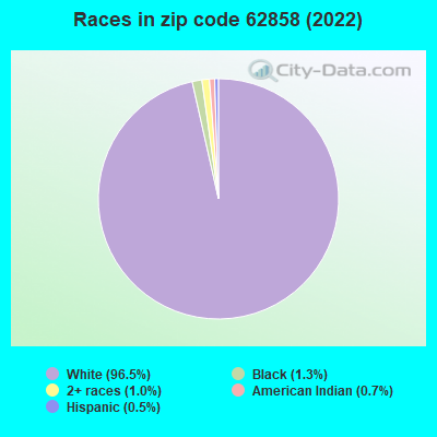 Races in zip code 62858 (2022)