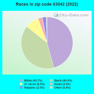 Races in zip code 63042 (2022)