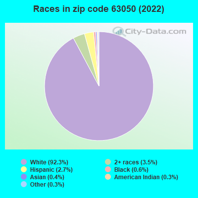 Races in zip code 63050 (2022)