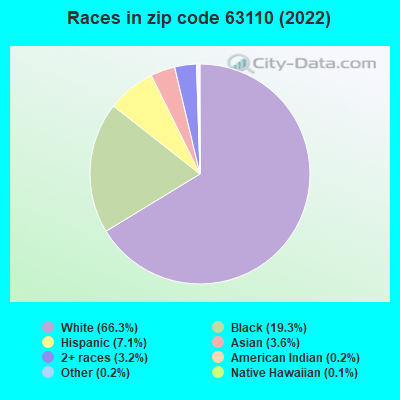 Races in zip code 63110 (2022)