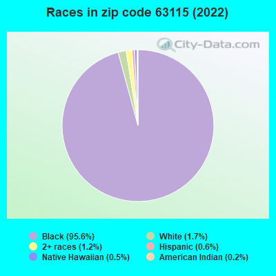 Races in zip code 63115 (2022)