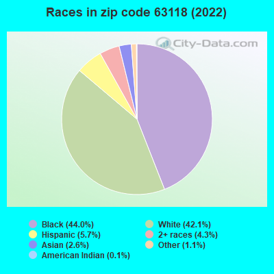 Races in zip code 63118 (2022)