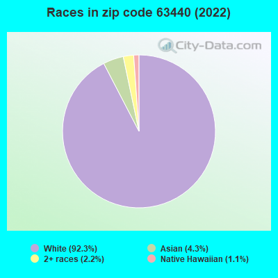 Races in zip code 63440 (2022)