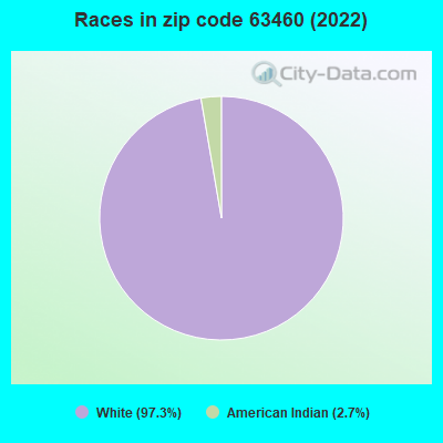 Races in zip code 63460 (2022)