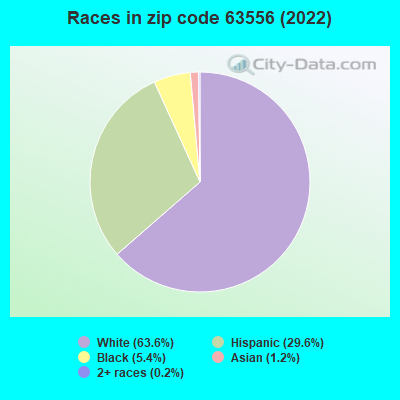 Races in zip code 63556 (2022)