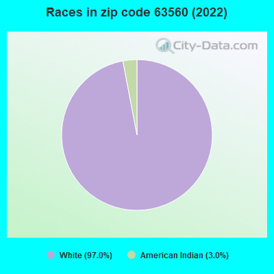 Races in zip code 63560 (2022)