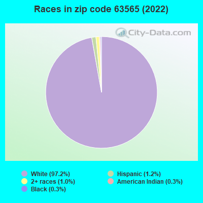 Races in zip code 63565 (2022)