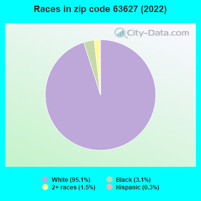 Races in zip code 63627 (2022)
