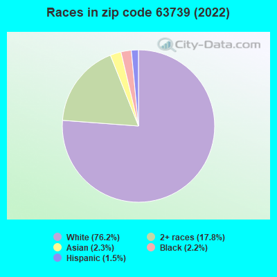 Races in zip code 63739 (2022)