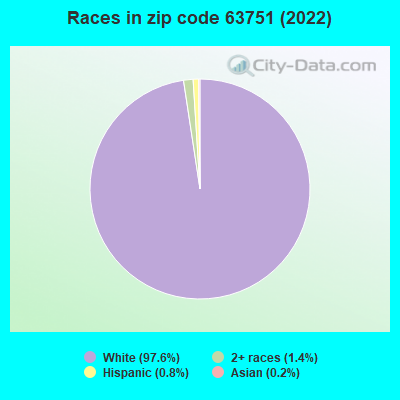 Races in zip code 63751 (2022)