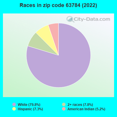 Races in zip code 63784 (2022)