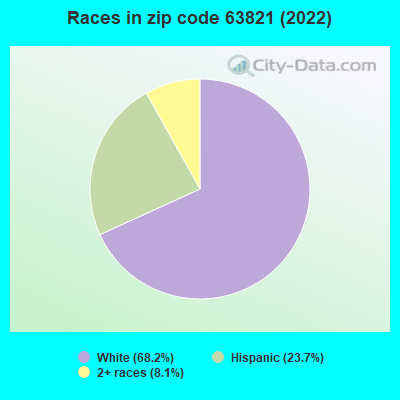 Races in zip code 63821 (2022)