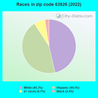 Races in zip code 63826 (2022)
