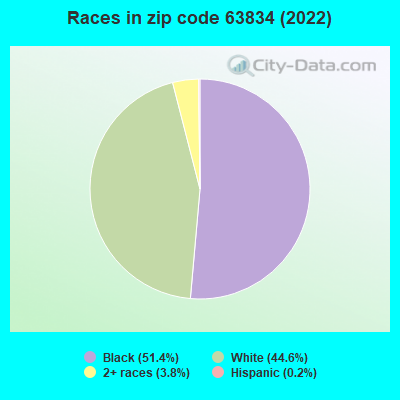 Races in zip code 63834 (2022)