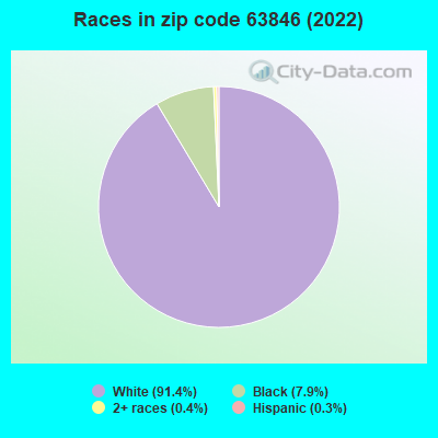 Races in zip code 63846 (2022)