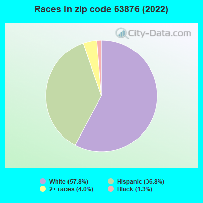 Races in zip code 63876 (2022)