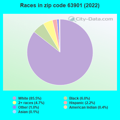 Races in zip code 63901 (2022)