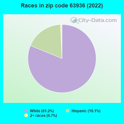 Races in zip code 63936 (2022)