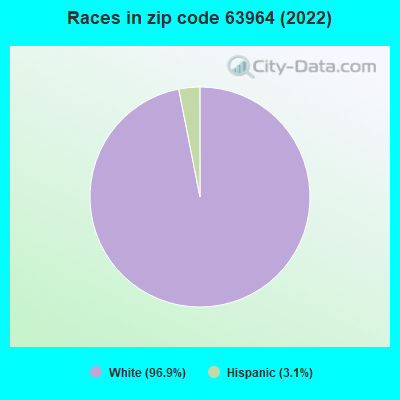 Races in zip code 63964 (2022)