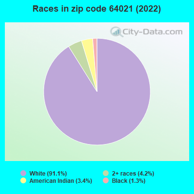 Races in zip code 64021 (2022)