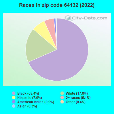 Races in zip code 64132 (2022)