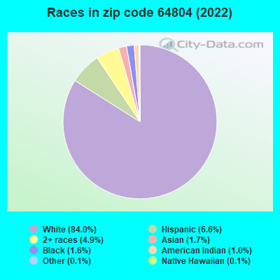 Races in zip code 64804 (2022)