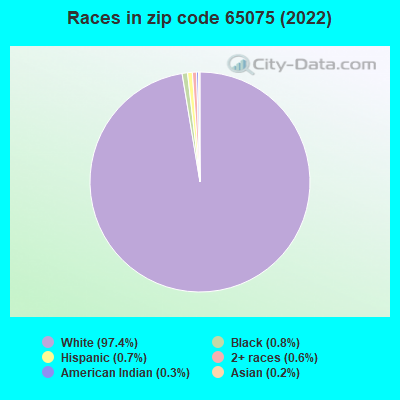 Races in zip code 65075 (2022)