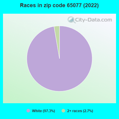 Races in zip code 65077 (2022)