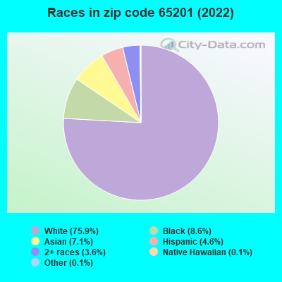 Races in zip code 65201 (2022)