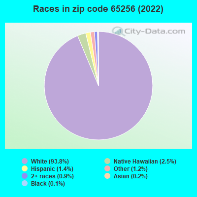 Races in zip code 65256 (2022)