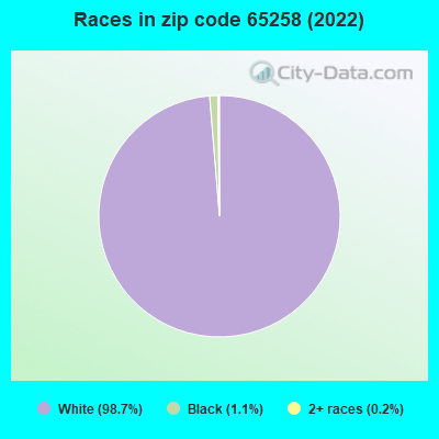 Races in zip code 65258 (2022)
