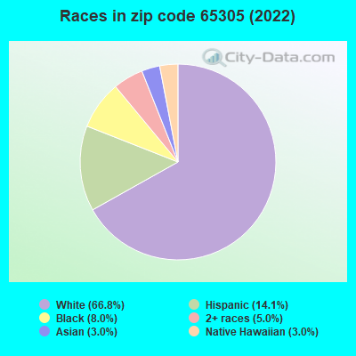Races in zip code 65305 (2022)