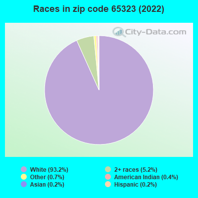 Races in zip code 65323 (2022)