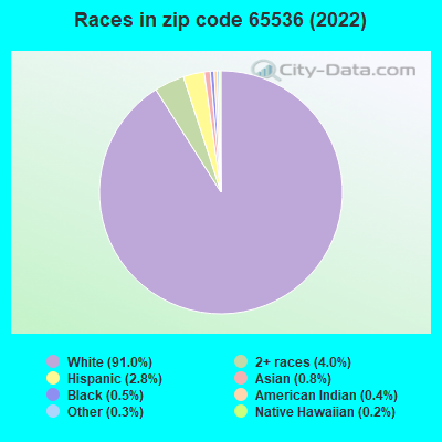 Races in zip code 65536 (2022)