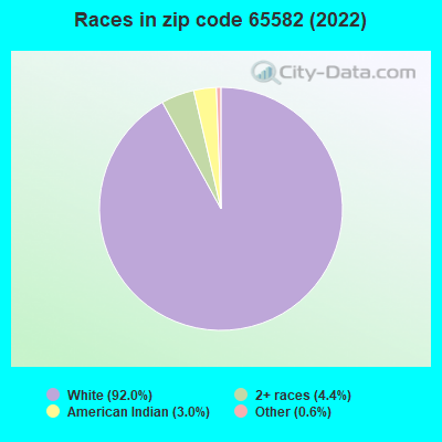 Races in zip code 65582 (2022)
