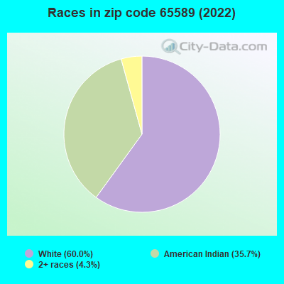 Races in zip code 65589 (2022)